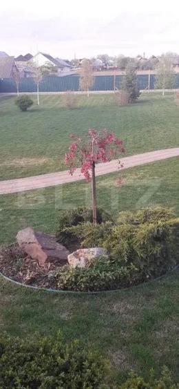 Casa/Vila 236 mp utili, 2743 mp teren, zona Mereni - Salcea - 16