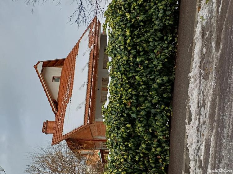 Vand casa P+M la rosu, zona centrala Timisoara - 4