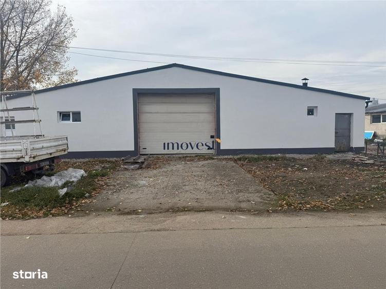 Hale industriale de inchiriat Parc industrial Careiului, Satu Mare - 2