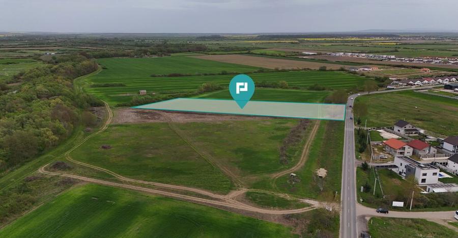 Teren intravilan 5800 mp in Remetea Mare - 2