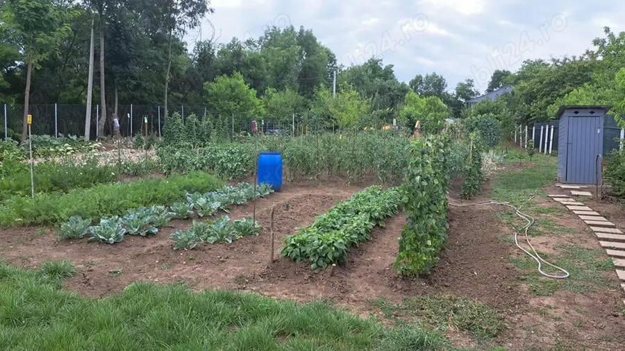 Vind casa Ceuasu de Cimpie 4 camera, living+bucatarie, bucataria mica,2 bai,2 garai,2 terasa 2 anexe - 2