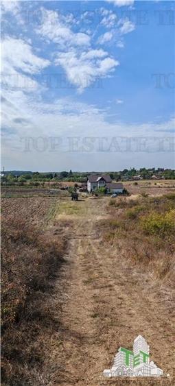 Ferma 3,3ha, din care 2,5ha intravilan, vila 7 camere, D+P+E+M, casa pentru munc - 12