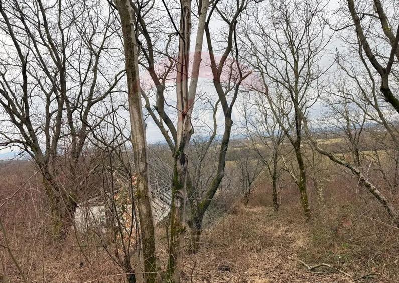 DE VANZARE Teren Strada Victoriei Baia Mare - 13