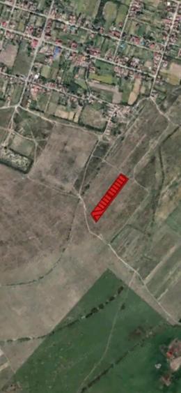 Mosnita Veche - 11 parcele - 10800 mp- CF individuale - 7