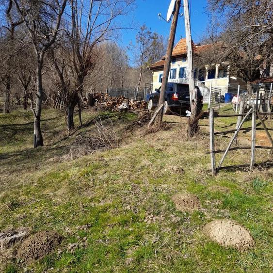 VAND CASA BATRANEASCA, 3,1 HA IN JURUL CASEI, COM.CETATENI - 1