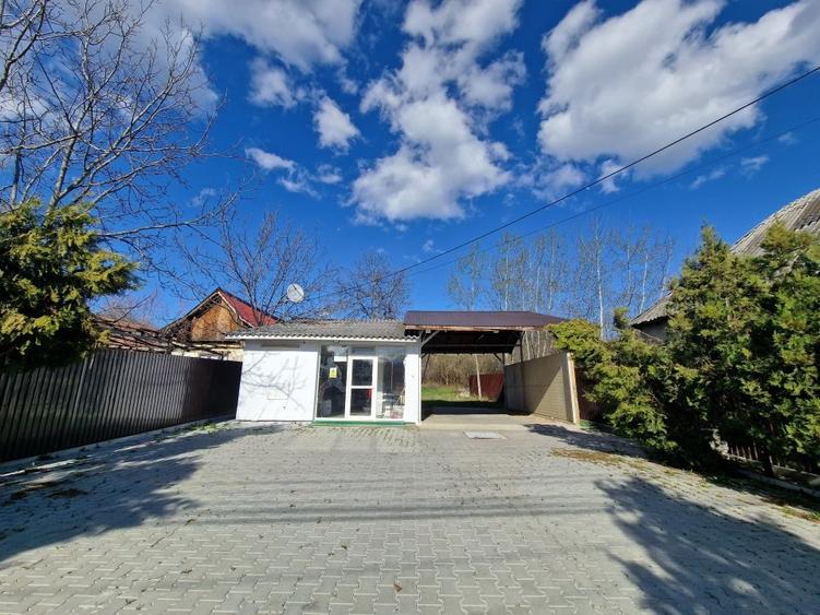 Mioveni - Cosesti - stradal, IDEAL  LOCUINTA/SPATIU COMERCIAL - teren 1250 mp - 2