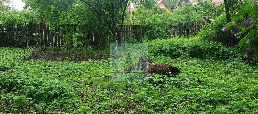 Casa batraneasca de vanzare in Tarlungeni - 9