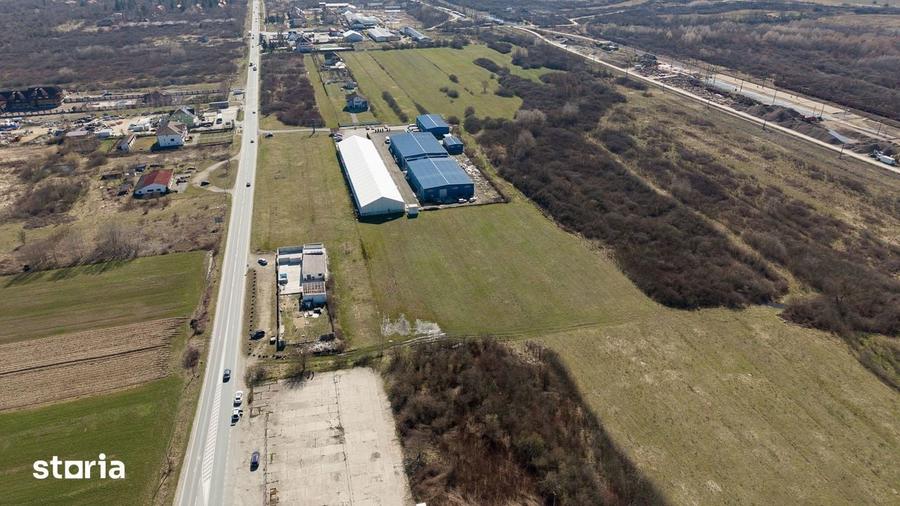 Teren extravilan de 7.000 mp langa Paltini? - 14
