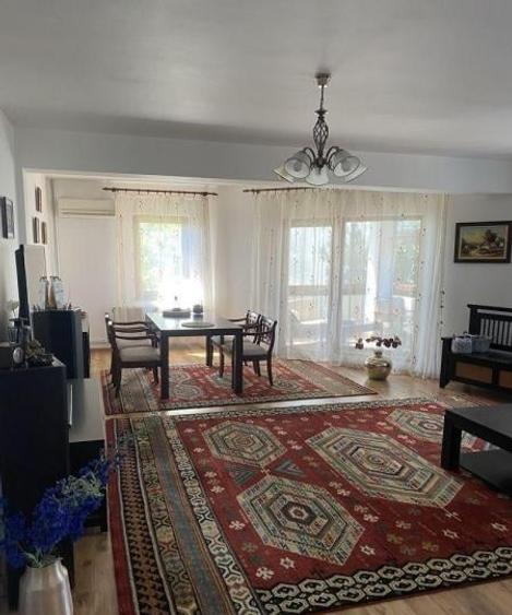 Vila si curte mare Soseaua Giurgiului - 5