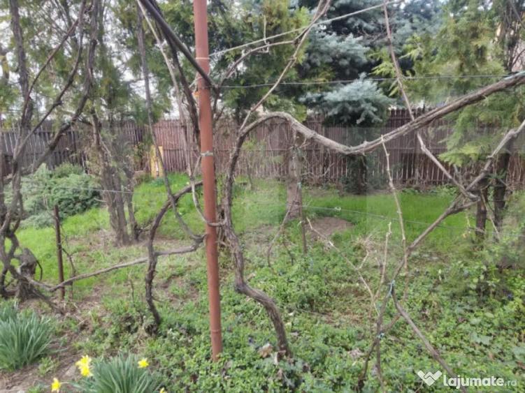 Casa cu 3 camere, curte verde si spatioasa - 3