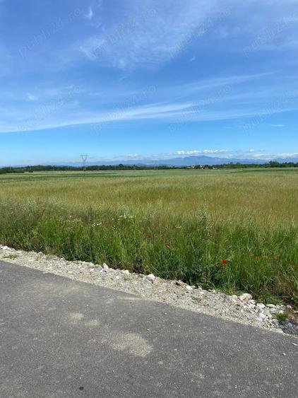 Teren in Galicea, ideal pentru casa sau afacere - 5