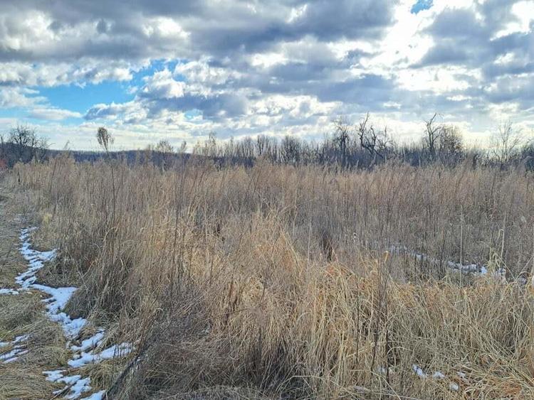 Gospodarie taraneasca in Cuca, Arges - ZERO comision la cumparator! - 14