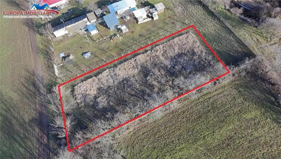 Teren intravilan de vanzare in localitatea Telita-jud.Tulcea - 8