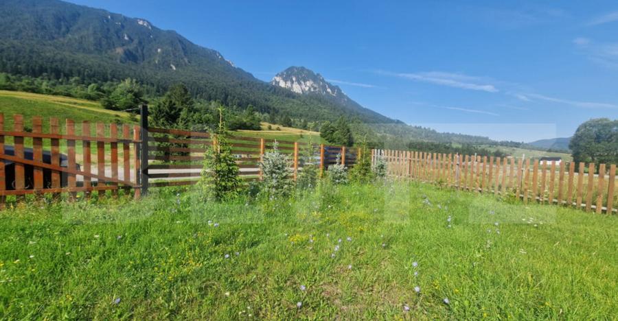 Teren Plaiul Foii, vedere spre muntii Bucegi si apa Barsa 10 - 5