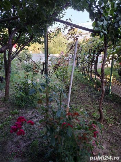 Vand casa Vaslui, Str. Florilor nr.5 - 4