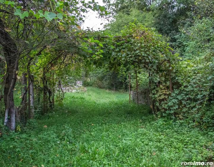 Vand TEREN ?i casa in satul Costeni, comuna Tismana, jude?ul Gorj. - 9