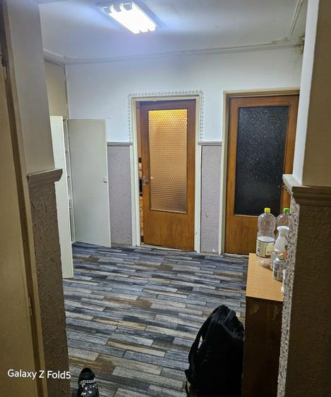 Teiul Doamnei-stradal-bloc 1983 - 4