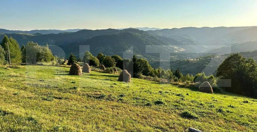 Teren Construcții extravilan de 17278 mp, în Horea