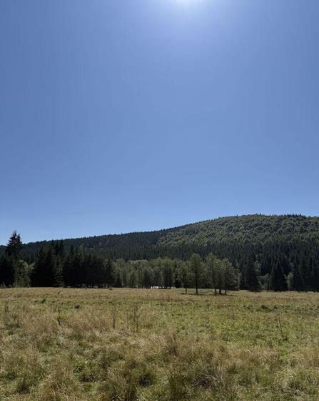 SUPER OCAZIE - Teren intravilan, COMANDAU-PUZ case de vac... - 6