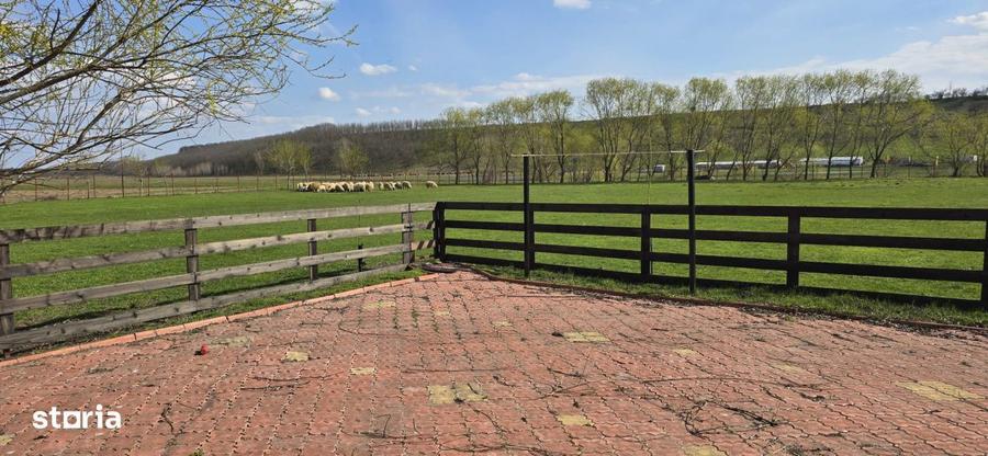 Ferma Zootehnica de Vanzare 6 Ha | Vaci si Oi | Grajd si Saivane | Cal - 7