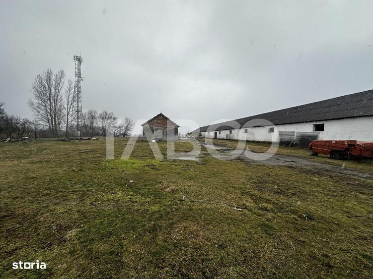 Teren de vanzare 8380 mp cu anexa de 1538 mp in Mohu - 3