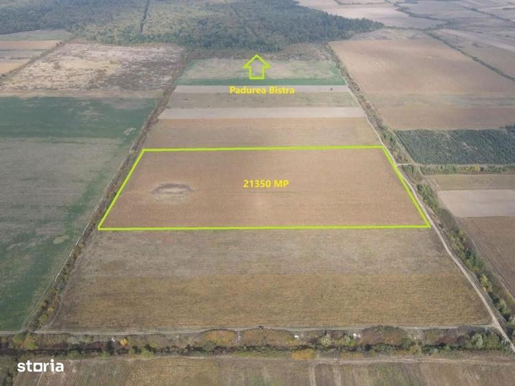 TEREN DE VANZARE 2,1 HECTARE in apropierea Padurii Bistra - 3