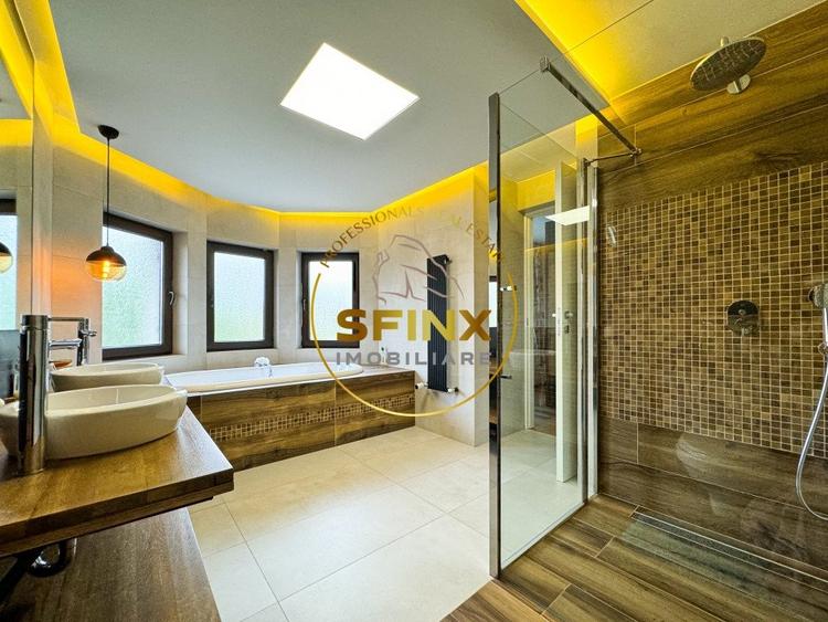 Casa curte proprie Soseaua Alexandriei - 28