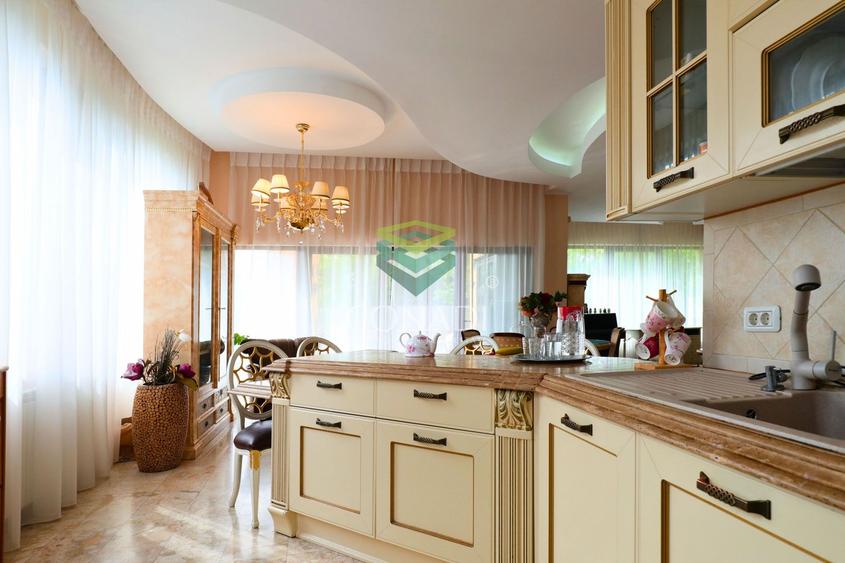 Iancu Nicolae, vila cu 5 camere de vanzare, 356 mp construiti - 7