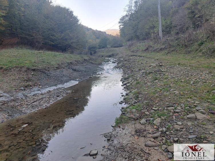 Casă individuală cu 2 camere cu Teren 17399 Mp în Valea Vințului