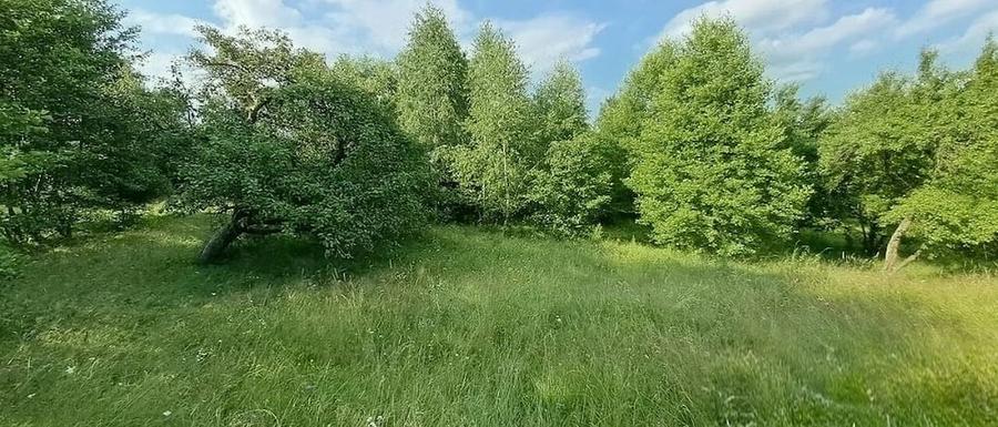 Teren de 18300 mp, în Bughea de Sus