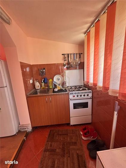 Casa de vanzare cu 13 Ar de teren Miron Costin - 5