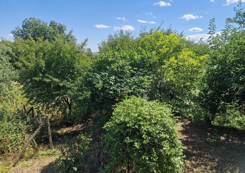 Casa in mediu rural cu teren - 4