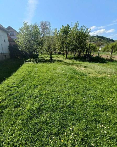 Teren intravilan pentru constructie casa individuala, Lona - 2