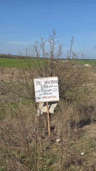 Teren de vanzare Costinesti | Oportunitate investitie - 1