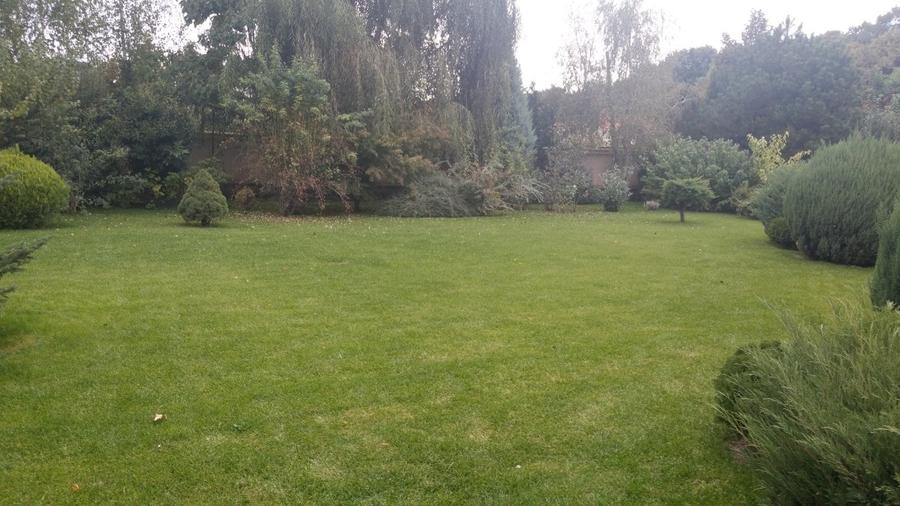 Proprietate impresionanta in apropierea Padurii Baneasa  -  Iancu Nicolae - 5