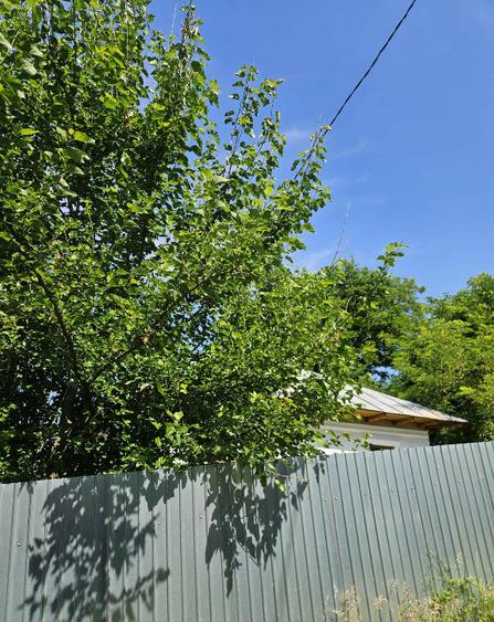 Casa de vanzare, zona Ion Creanga - 18