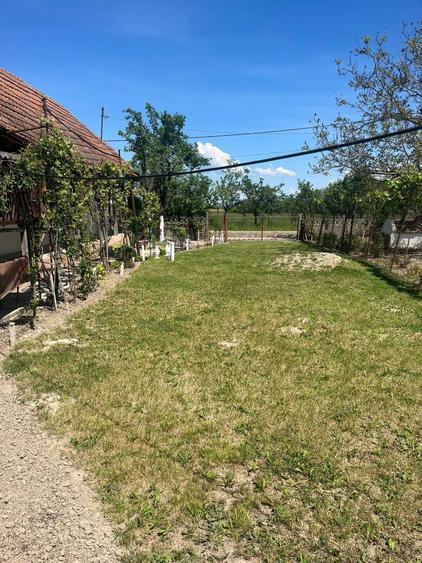 Casa de vanzare in jud.Satu Mare - 7