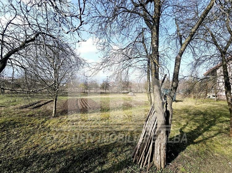 Teren intravilan | 1024 mp | 30 ml deschidere | Alba-Micesti - 3