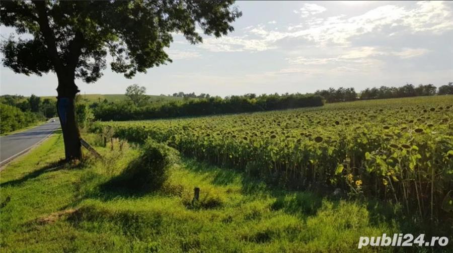 Vand teren stradal Alexandria, Teleorman - 9