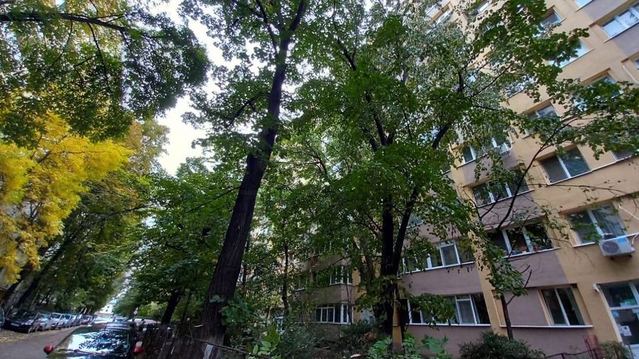 REA1026063 Colentina Tei Apartament 3 camere - 10