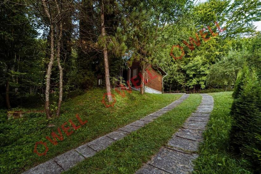 DE VANZARE Casa de vacanta in Sovata, pe strada Vanatorilor! - 5