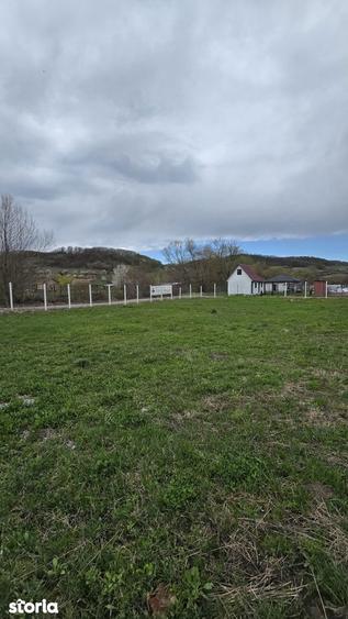 Teren drept ca-n palma - 6