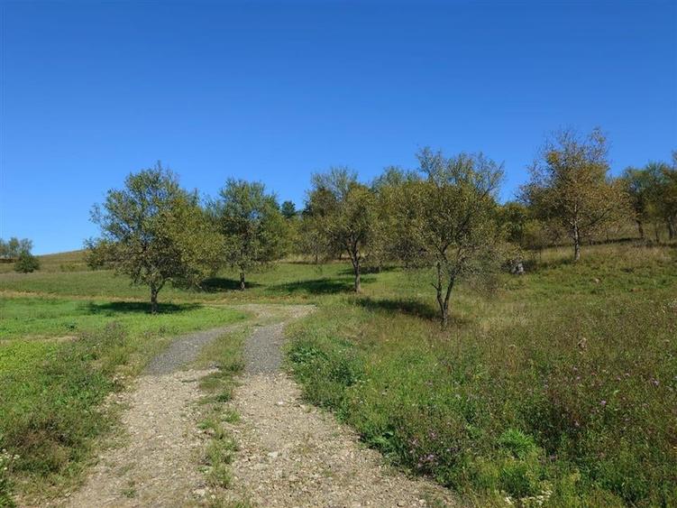 Teren intravilan 8757 mp cu potential turistic si acces direct la E79 - 7