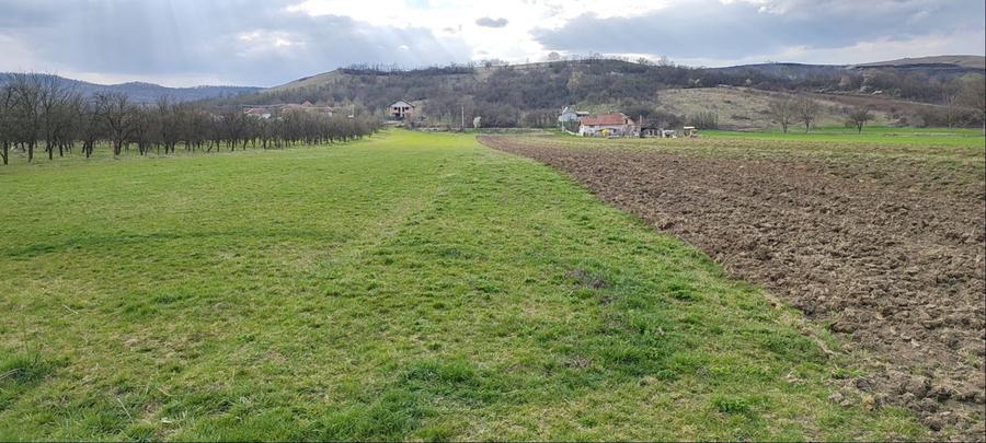 Teren extravilan situat intre case,intrare sat Maceu - 4