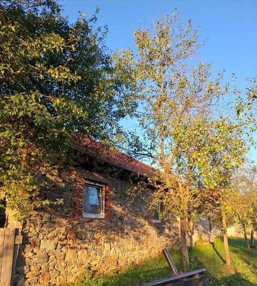 Casa cu teren generos de vanzare in Goruia - 1