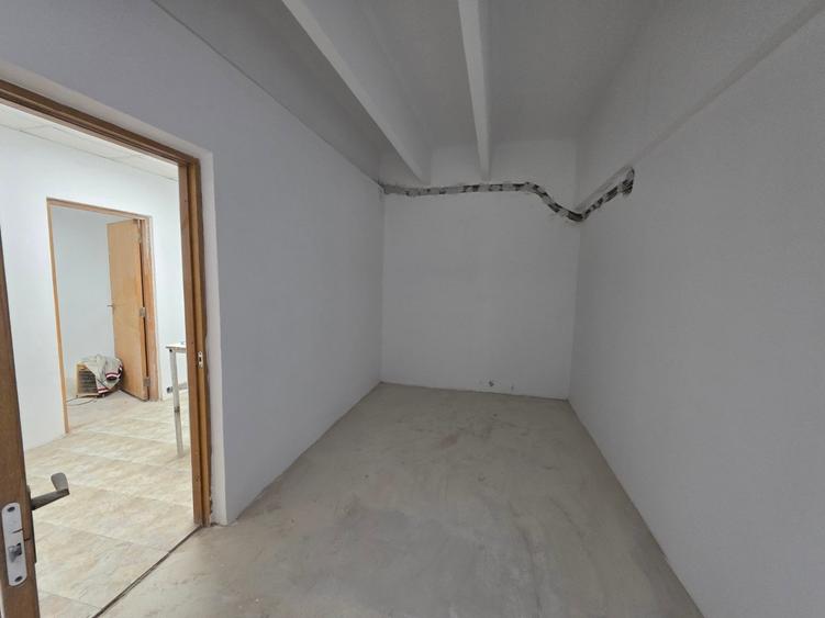 Theodor Pallady, 10 minute metrou 1 Decembrie 1918, stradal - 6