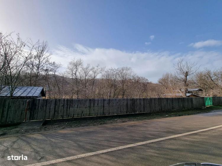 Oaza de liniste in Prahova | casa + anexa + teren |Carbunesti/ - 7