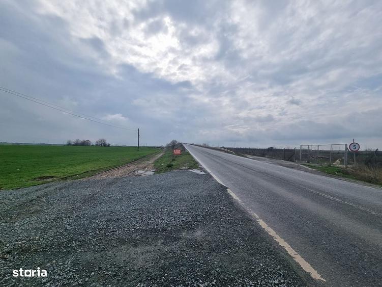 Teren zona hale Ovidiu - 7