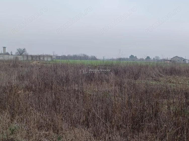 Vanzare Teren Corbeanca- Balotesti Strada Trei Lacuri - 5