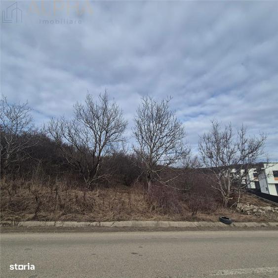 Teren intravilan de vanzare Sigmir, Str. Soarelui - 1